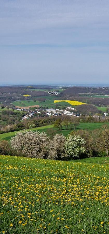 Ferienwohnung Gemuetliche Auszeit In Der Eifel Mechernich Exterior foto